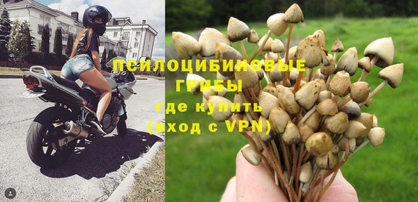 ALPHA-PVP Баксан