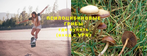 ALPHA PVP Белокуриха